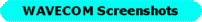 Latest screenshots of WAVECOM decoders, directly from our global radio monitoring operations!